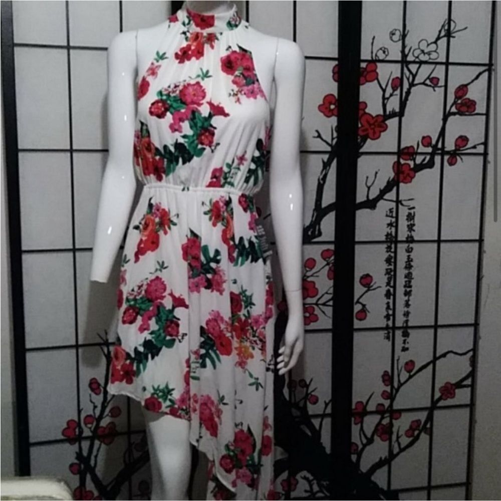 Express XS Flower Floral High Neck Dress size XS